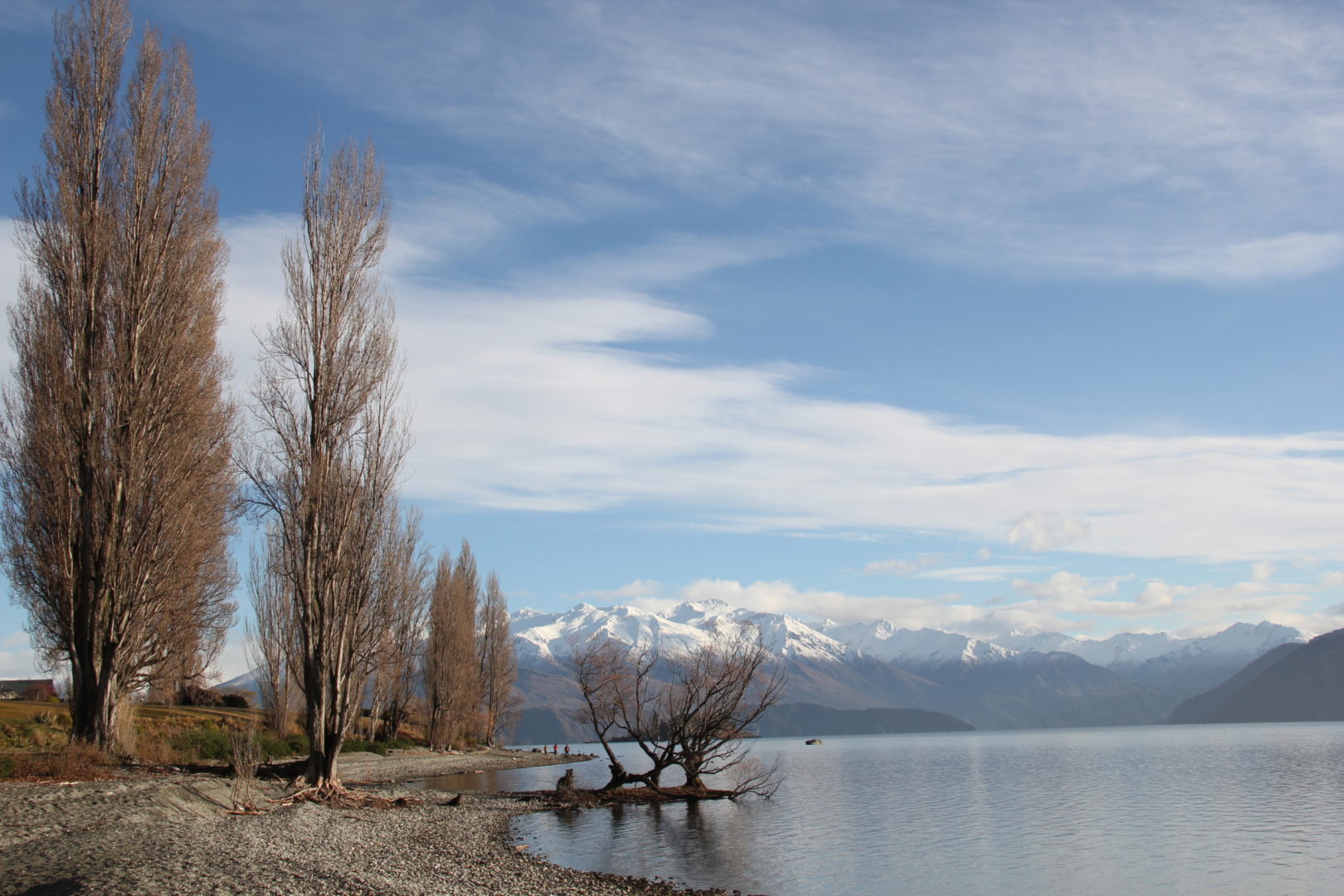 Respetar nuestra casa común