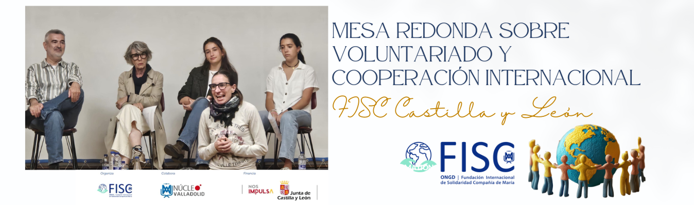 Mesa Redonda sobre Voluntariado y Cooperación Internacional